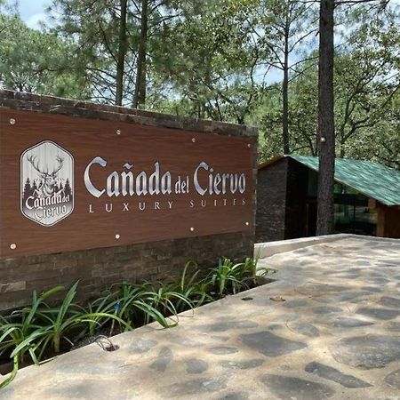Cabana De Lujo Con Jacuzzi A 10 Min Del Pueblo Mazamitla Ngoại thất bức ảnh